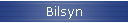 Bilsyn